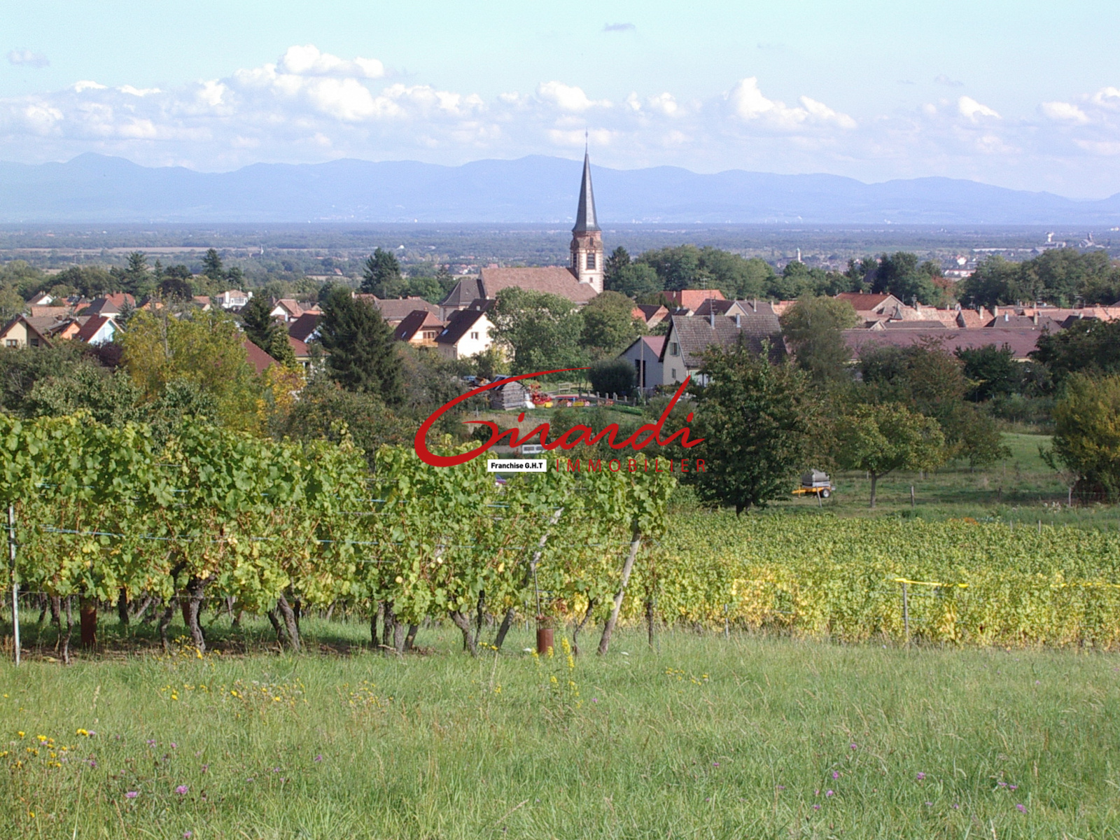 Image_2, Terrain, Wuenheim, ref :2091